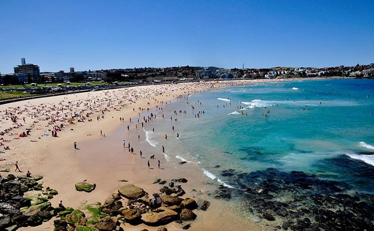 plage de sydney