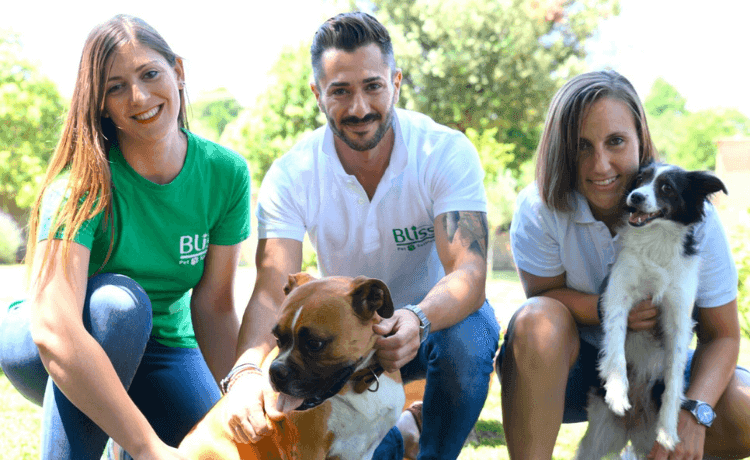 Equipe avec animaux de compagnie