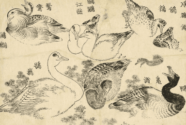 Une oeuvre d'Hokusai qui représente des canards 