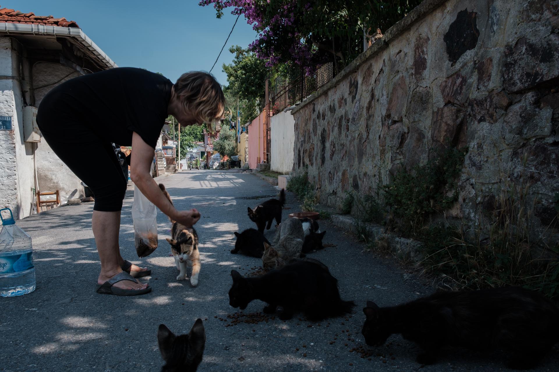 Une habitante de l'île d'Heybeliada nourrit les animaux de rue