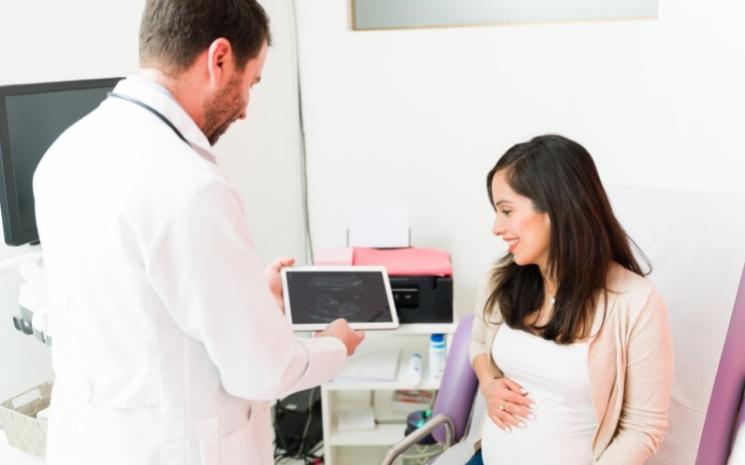 Un médecin qui montre une échographie 