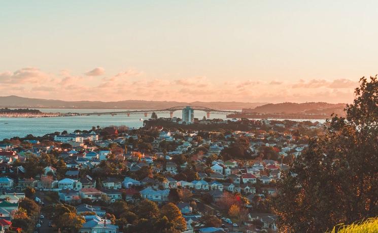 vue sur auckland