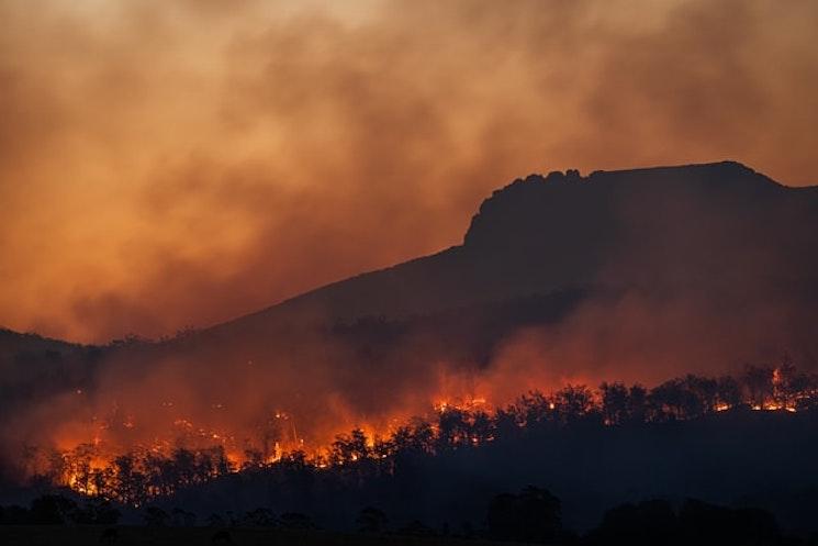 Un incendie en Australie causé par le réchauffement climatique 