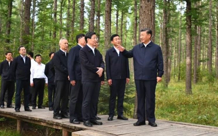 xi jinping dans une foret en chine