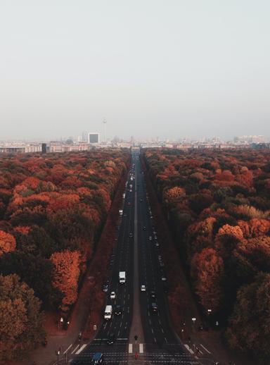 Tiergarten de Berlin en automne