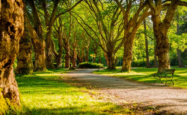 parc en Nouvelle-Zélande