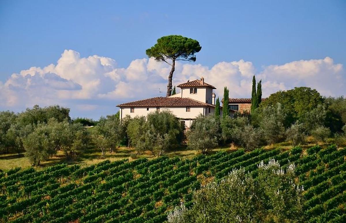 Vignobles dans la région de Toscane en Italie