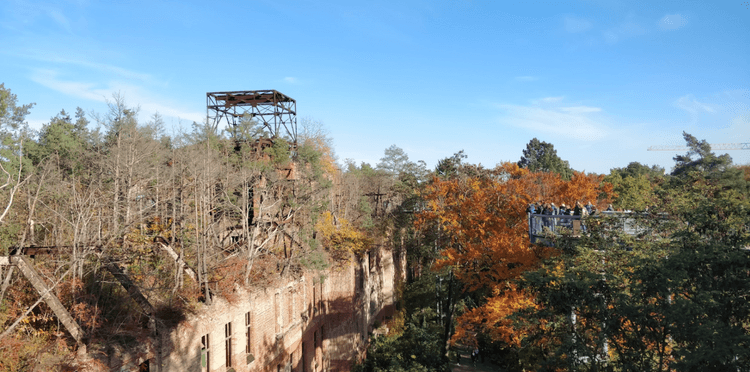 Parc de la forêt de Beelitz