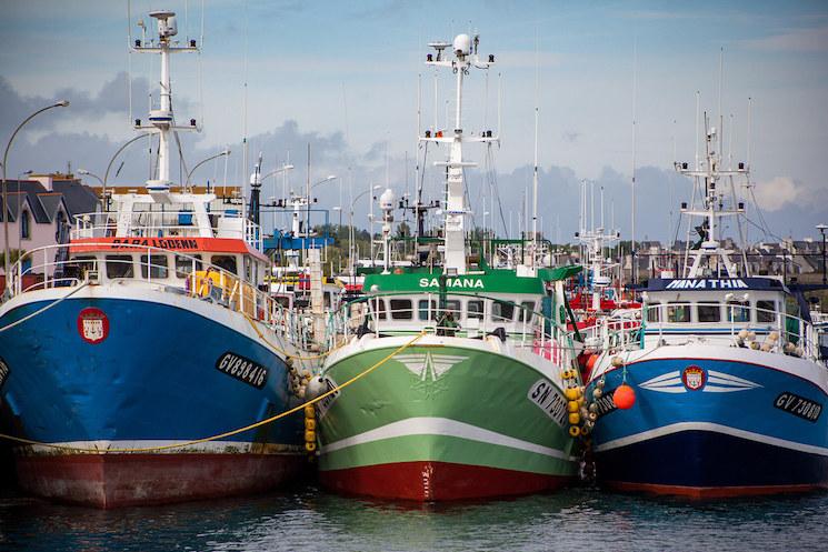 Des bateaux de pêche sont alignés au port