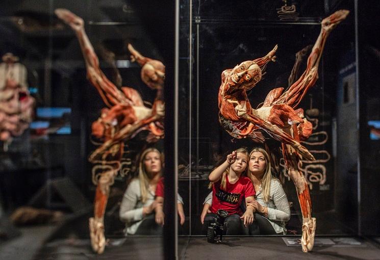 body worlds espagne (1)