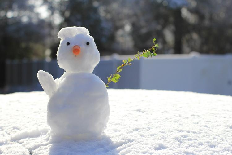 petit bonhomme de neige mignon