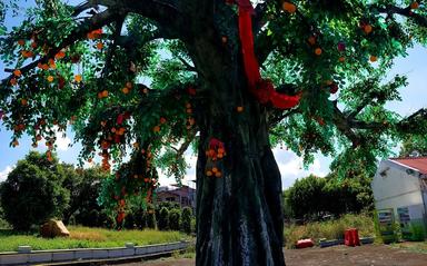 arbre voeux Lam Tsuen Nouveaux Territoires Hong Kong