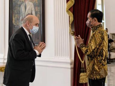 Le ministre M.Le Drian et le president indonésien Joko Widodo