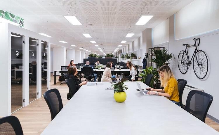 Des personnes dans un bureau avec vélo accroché au mur