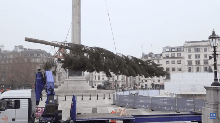 Sapin Trafalgar Square