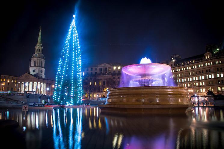 Le sapin de Noël géant de Trafalgar Square illuminé pour les fêtes