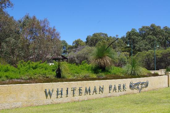 Whiteman - Caversham wildlife park