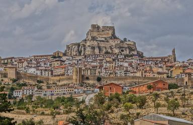 Morella