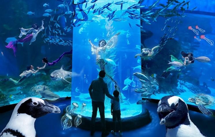 Aquarium divertissement enfants Jakarta