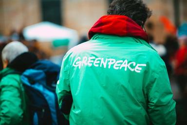 Militant Greenpeace 