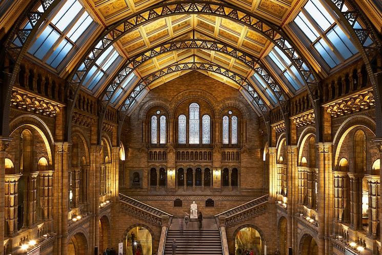 Intérieur du magnifique musée d'histoire natuelle de Londres