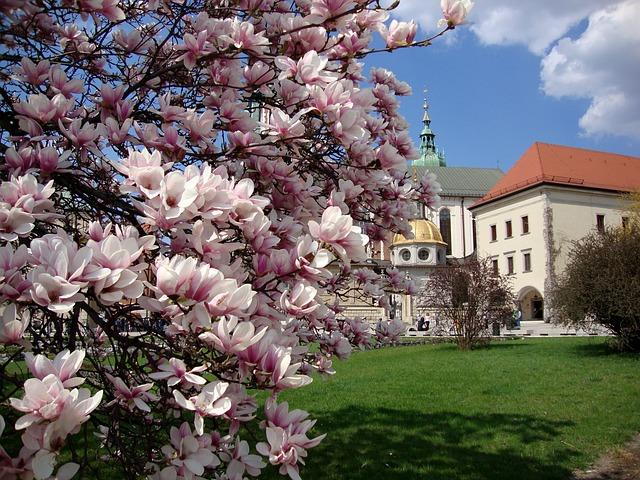 Cracovie printemps