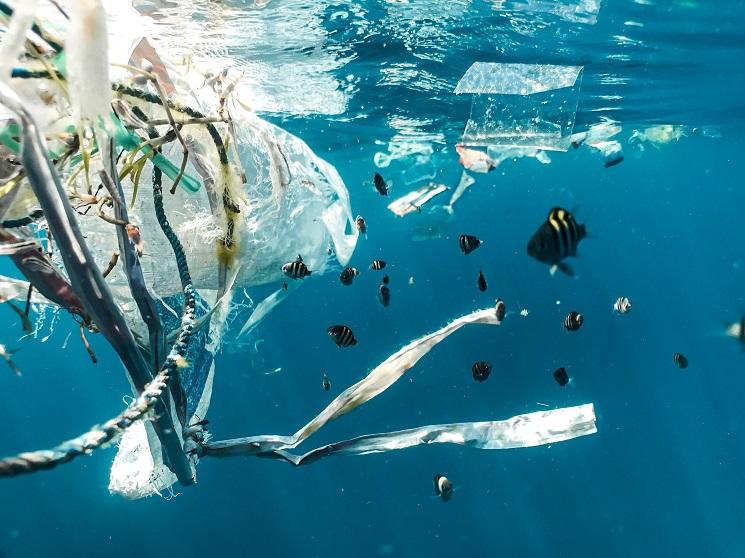 pollution plastique en espagne