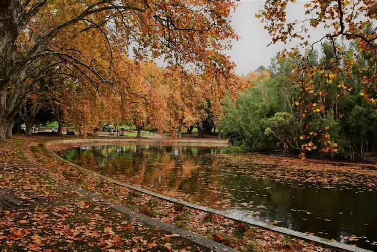 Automne à Hyde park - Perth