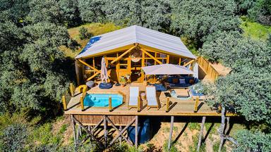 Une petite maison dans les arbres avec une piscine