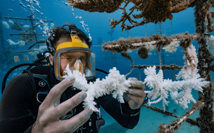 alexis rosenfeld dans les océans pour la mission 1ocean