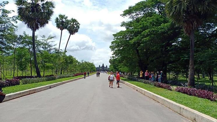 allée allant à Ankgor wat 