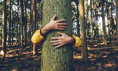 un homme enlace un arbre dans la forêt et pratique la sylvothérapie