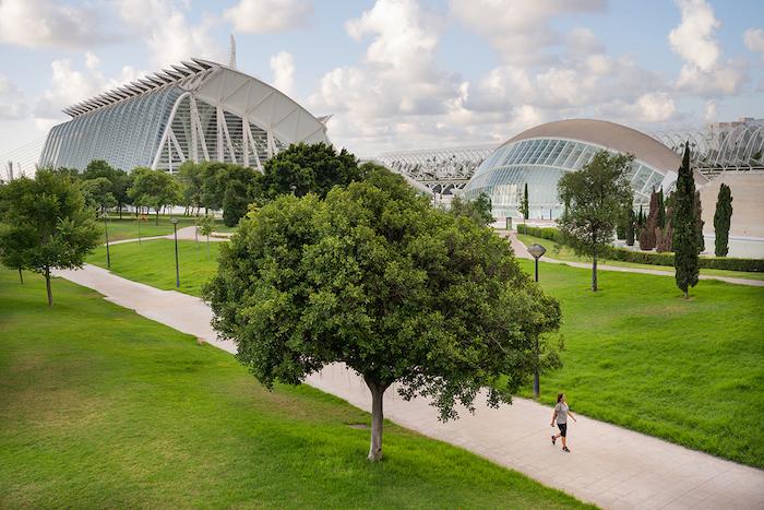 un parc vert et des batiments bleus à Valencia