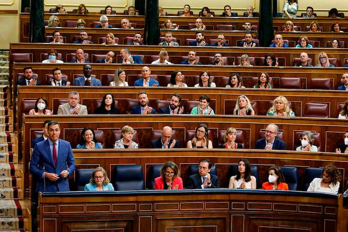 Pedro Sanchez au congres des deputes