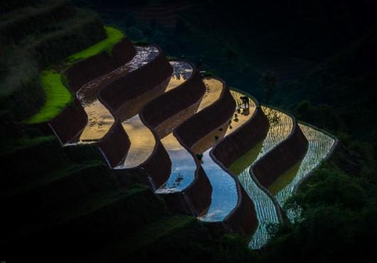 Les rizières à Mù Cang Chải District, Vietnam