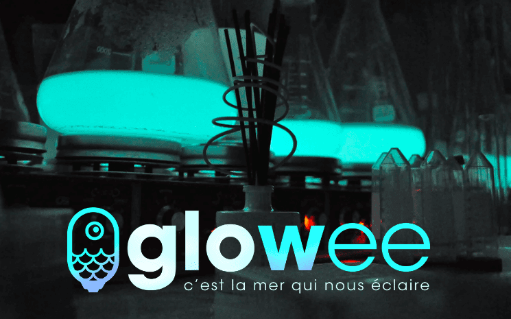 glowee bioluminescence éclairage