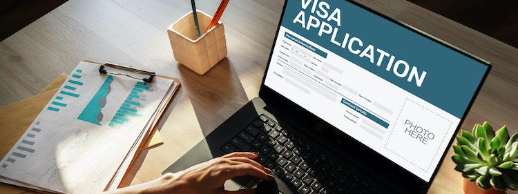 visa via video