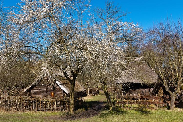 Le village-musée Düppel 