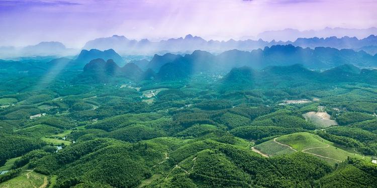 Province de Ninh Binh vue du cien au Vietnam