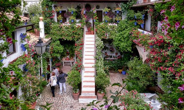 Patios de Cordoue Andalucía.org_