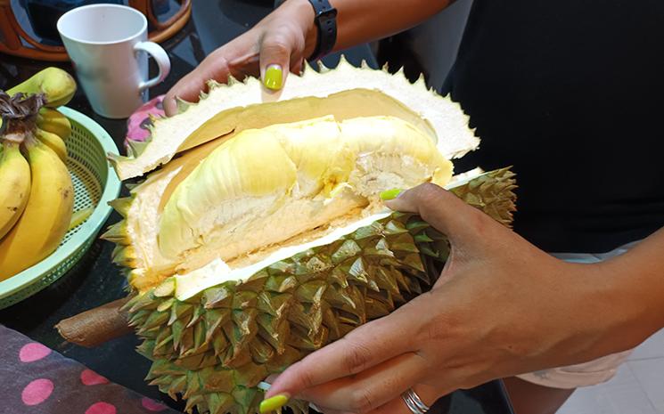 Durian-Thailande