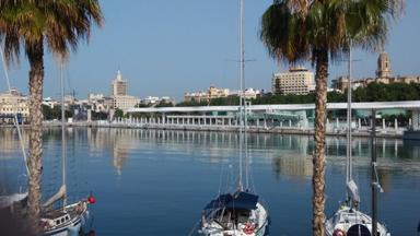 le centre de cybersécurité sera sur le Palmeral du Muelle 2