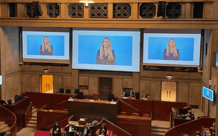 La table ronde sur les EFE lors de l'Assemblée des Français de l'étranger