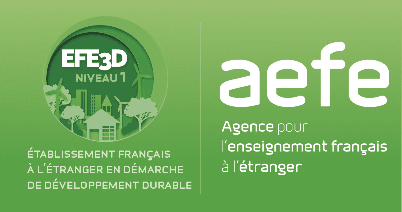 EFE3D-AEFE-niveau1