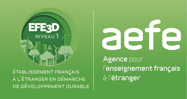 EFE3D-AEFE-niveau1