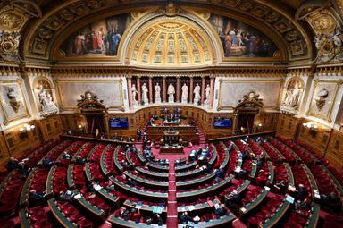 Le Sénat débute le vote du projet de loi immigration