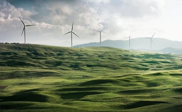 éoliennes dans un champ vert