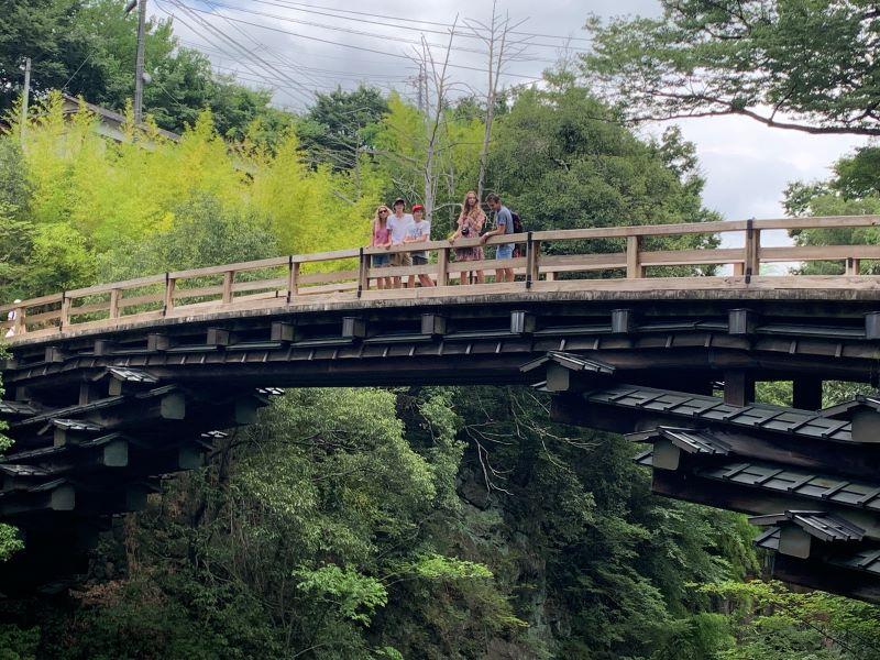 Le pont des singes