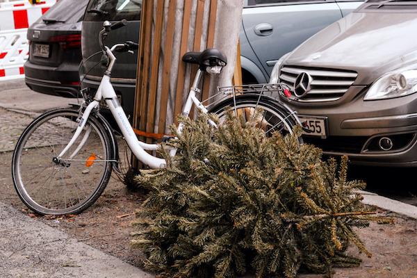 Sapin trottoir