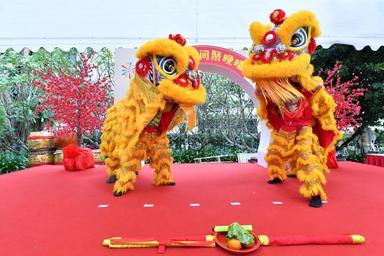 lion dance singapour memorial sun yat sen